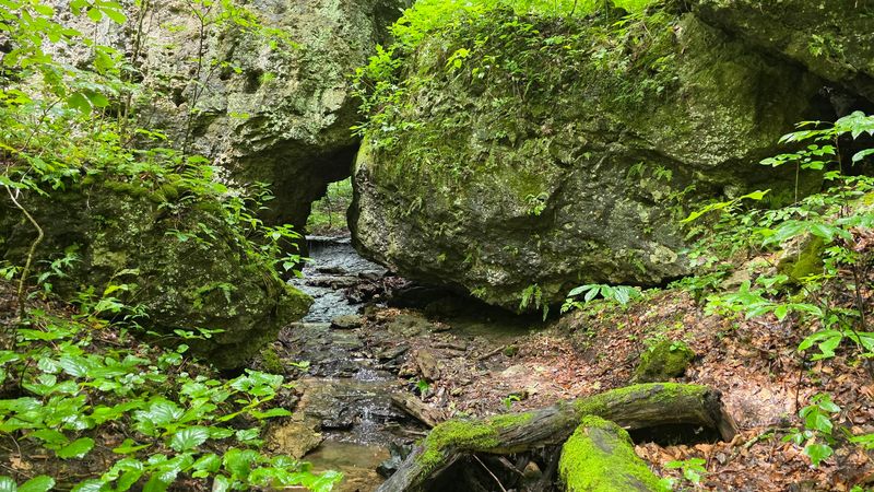 Fort Hill Earthworks and Nature Preserve, Hillsboro