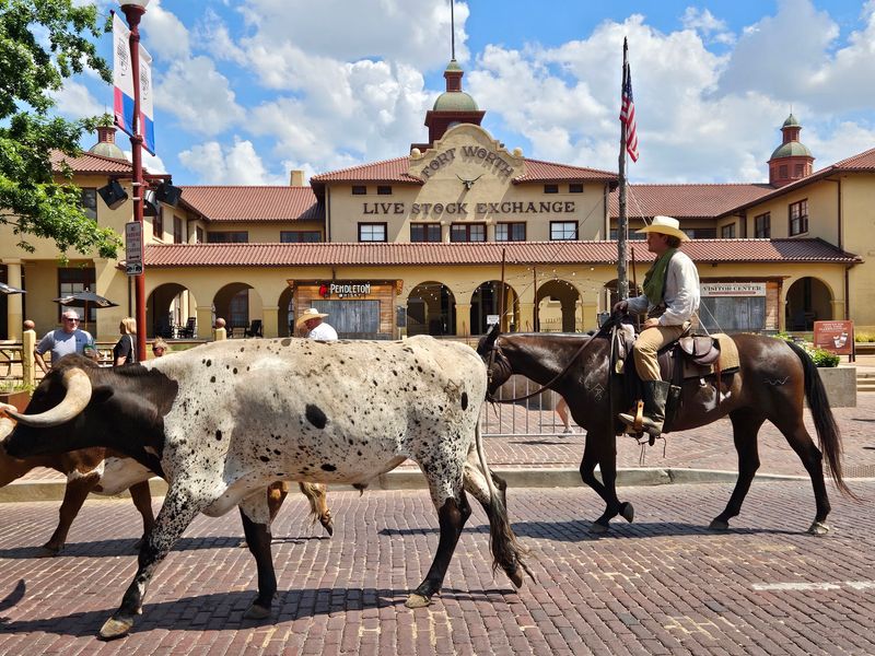 Fort Worth Stockyards (Fort Worth)