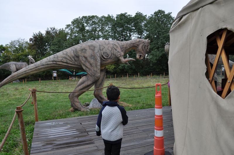 Fossil Digs and Hands-On Prehistoric Fun