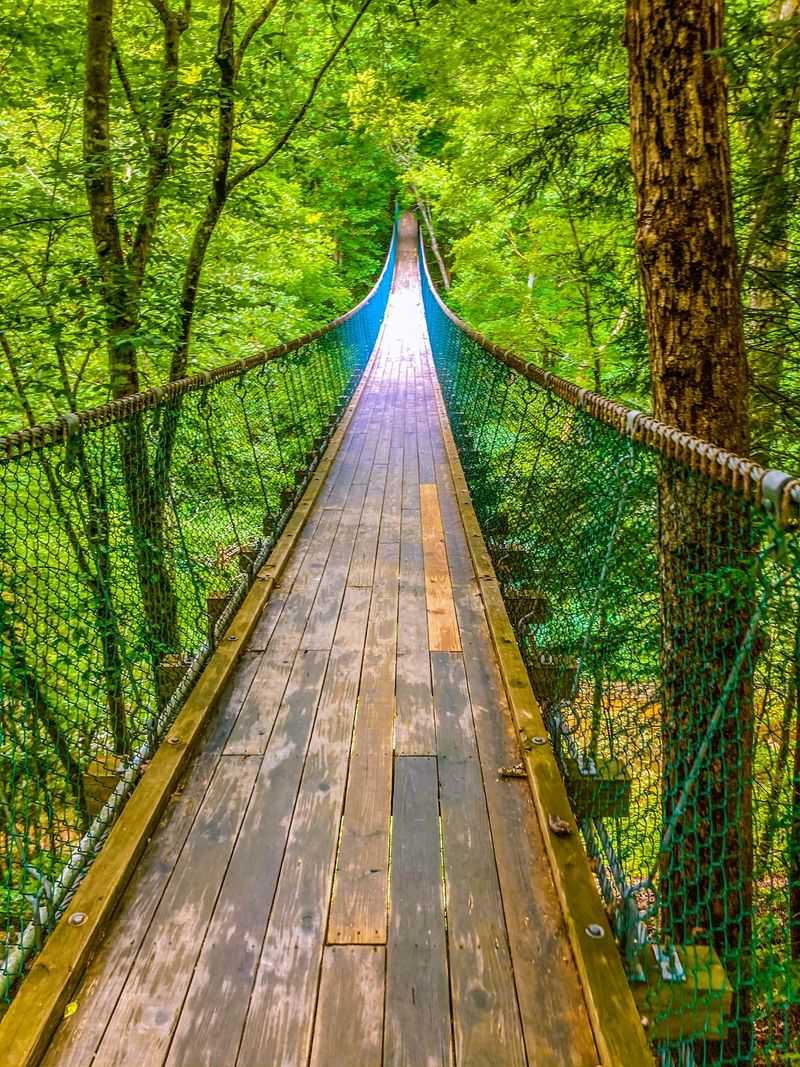 Foxfire Adventure Park Foxfire Adventure Park
