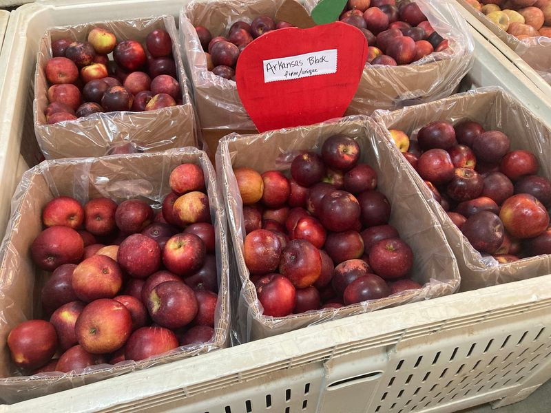 Fresh Apples in Varieties You Won't Find at Kroger Fresh Apples in Varieties You Won't Find at Kroger