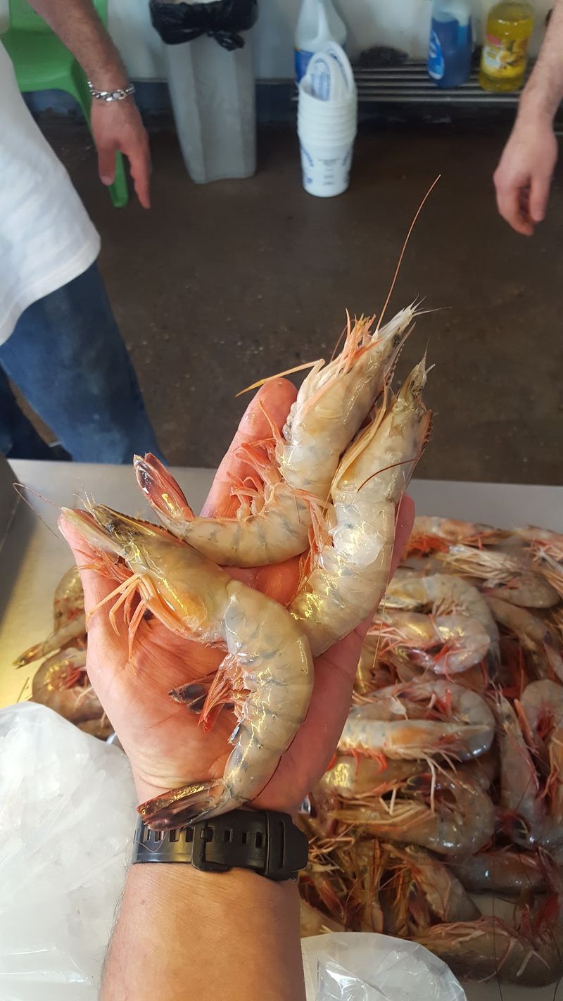 Fresh Gulf Shrimp That Puts Grocery Stores to Shame