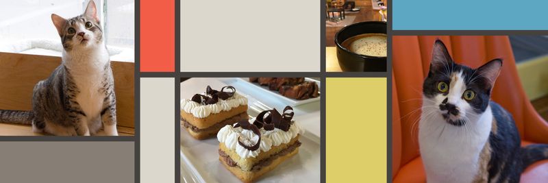 Fresh Pastries That Make the Visit Feel Special