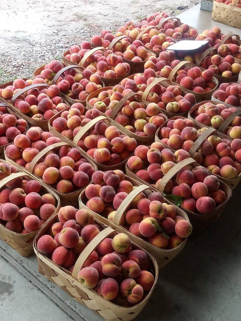 Fresh Peaches Help Make the Difference