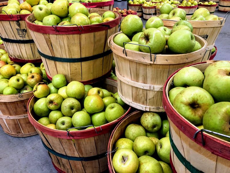 Fresh-Picked Apples Make Fall the Perfect Time to Visit Fresh-Picked Apples Make Fall the Perfect Time to Visit