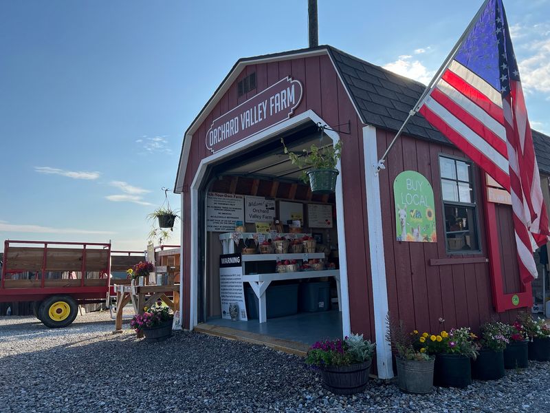 Friendly Help At The Farm Stand