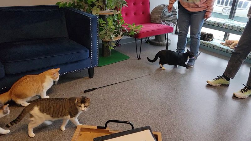 Friendly, Knowledgeable Staff Who Care