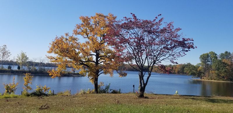 Each Season Changes The Roadside Show