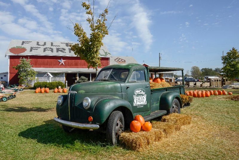 Fulton Farms, Troy