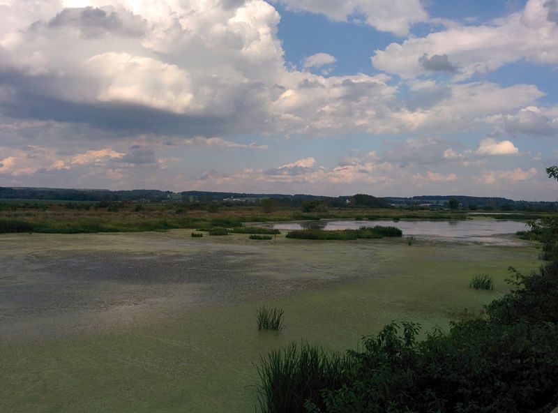 Funk Bottoms Wildlife Area, Wooster