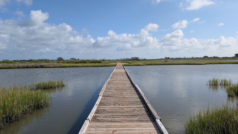 Galveston Island State Park (Galveston)