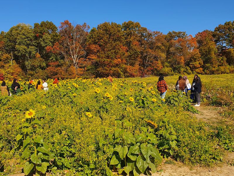 Generations of New Jersey Families Keep Returning for Every Season
