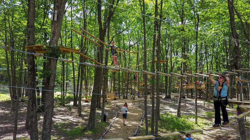Gorilla Grove Treetop Adventures at Kalahari Resort Gorilla Grove Treetop Adventures at Kalahari Resort