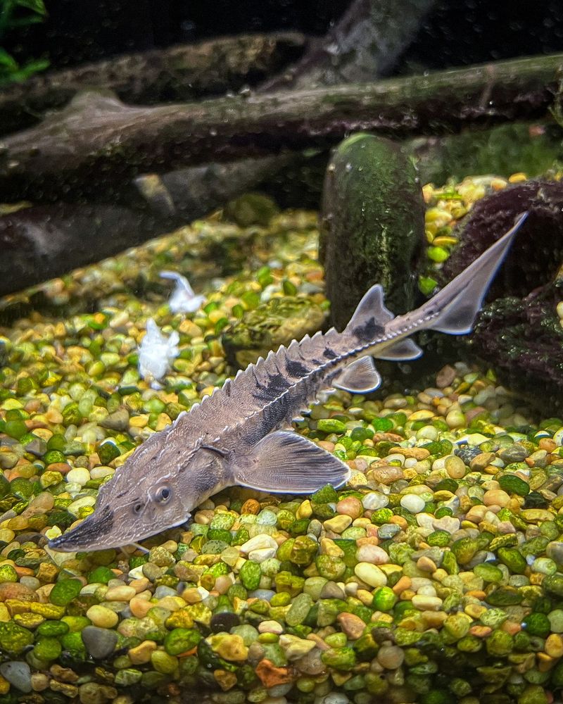Great Lakes 360 Adds A Freshwater Surprise