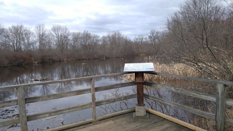 Great Swamp Outdoor Education Center Boardwalk Trails - Chatham Township