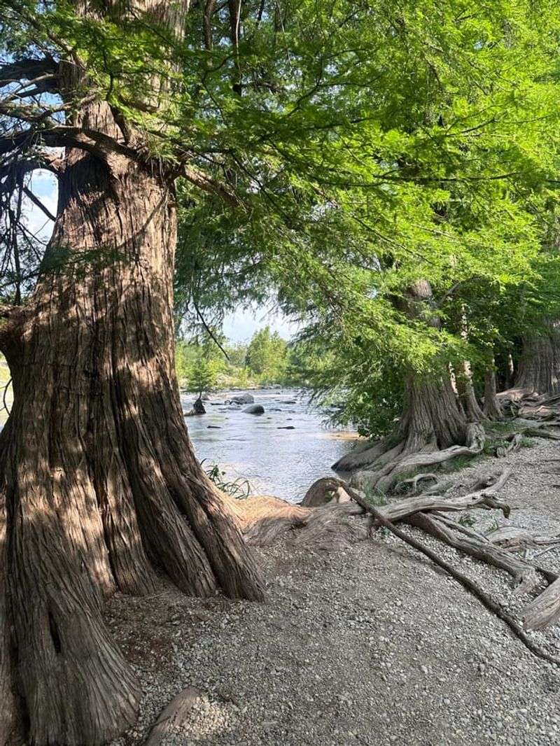 Guadalupe River State Park (Spring Branch)