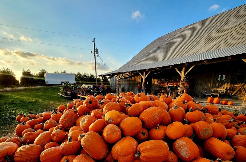 Beasley's Orchard (Danville)