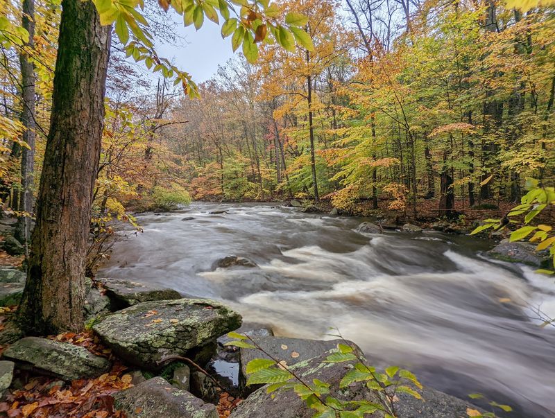 Hacklebarney State Park Hacklebarney State Park