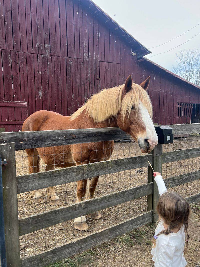 Hand-Feeding Experiences That Create Lasting Memories