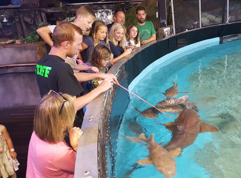 Hands-On Encounters That Steal the Show Hands-On Encounters That Steal the Show