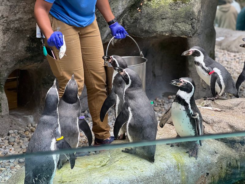 Helpful Staff Make the Exhibit Easier to Enjoy Helpful Staff Make the Exhibit Easier to Enjoy