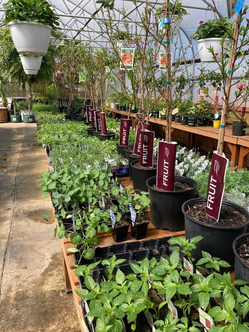 Herbs And Vegetables Make Garden Plans Feel Delicious Herbs And Vegetables Make Garden Plans Feel Delicious