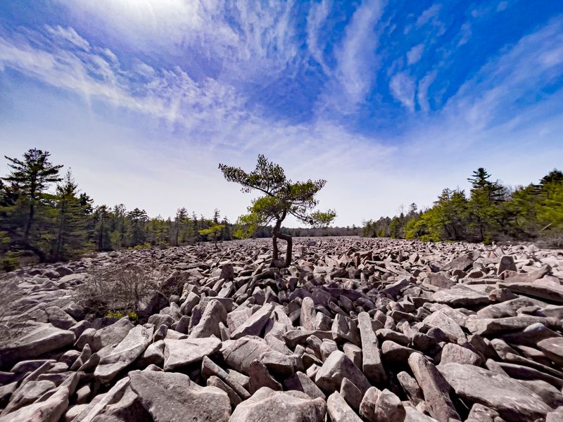 Hickory Run State Park - Boulder Field Trail Hickory Run State Park - Boulder Field Trail