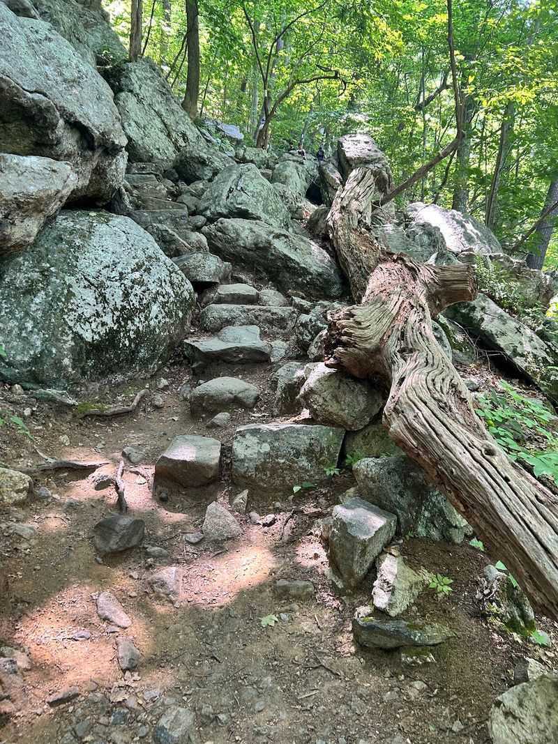 Hike the Stairway to Heaven Trail in Vernon Hike the Stairway to Heaven Trail in Vernon