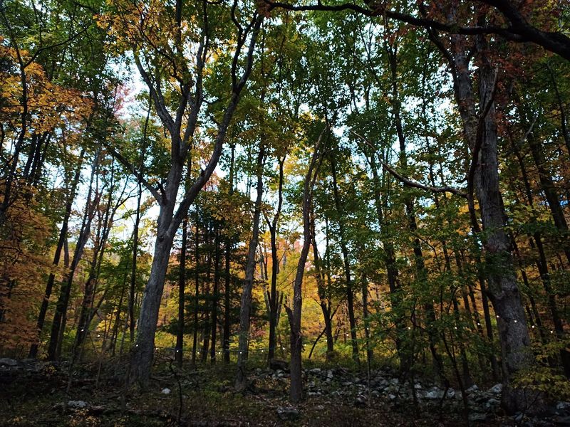 Hiking Trails Lead Through the Campground and Into the Highlands