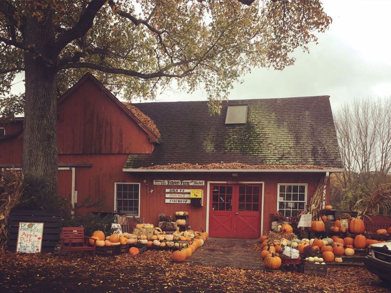 Hillview Farms Hillview Farms