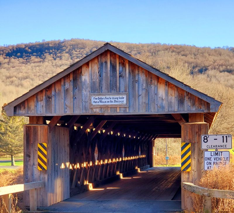 Historic Fitch’s Covered Bridge (Delhi)