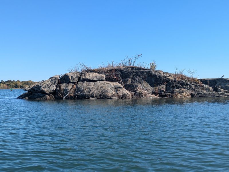 Hog Island