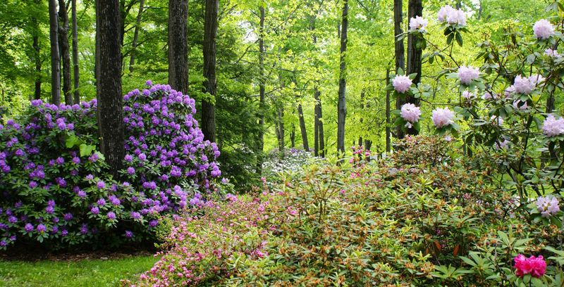 Holden Arboretum (Kirtland)