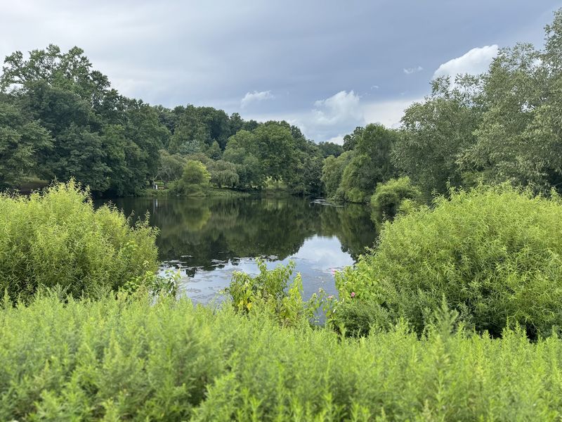 Holmdel Park - Holmdel Holmdel Park - Holmdel