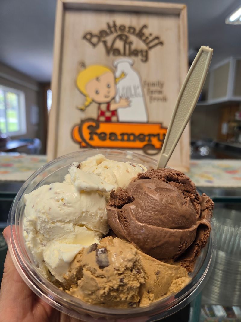 Homemade Ice Cream With Big Farm Flavor