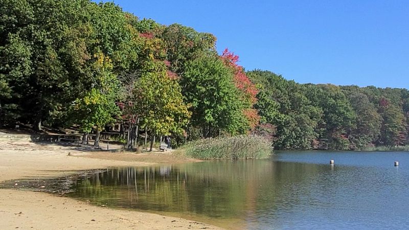 Hooks Creek Lake - Cheesequake State Park