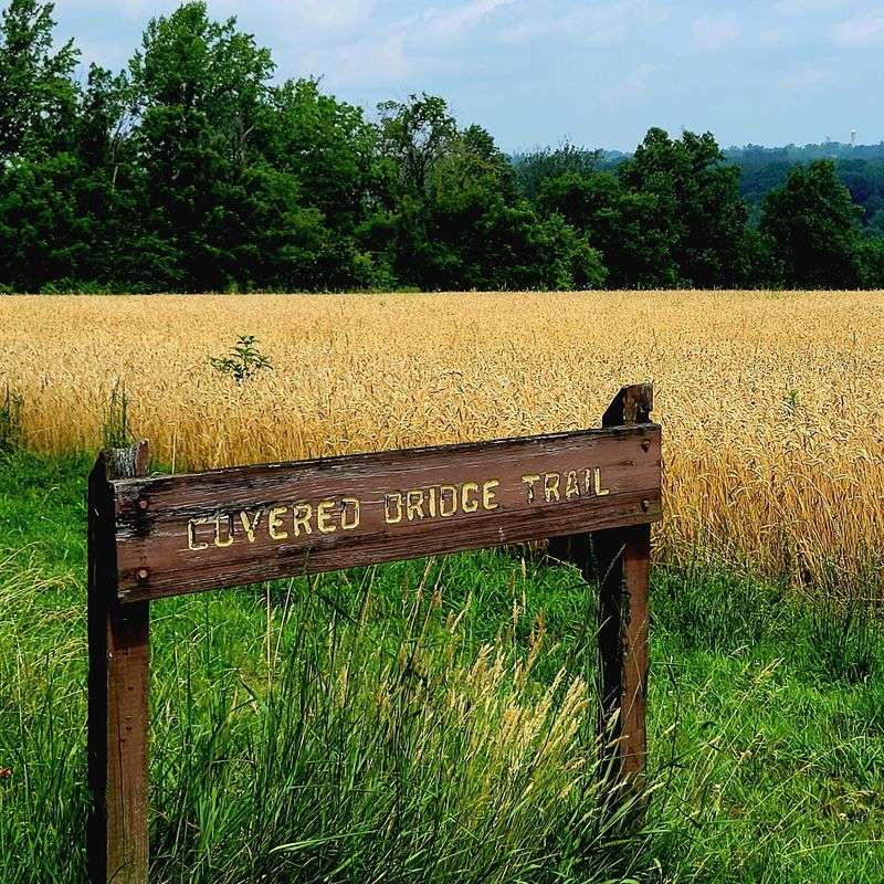 Horse Trails That Add Country Magic