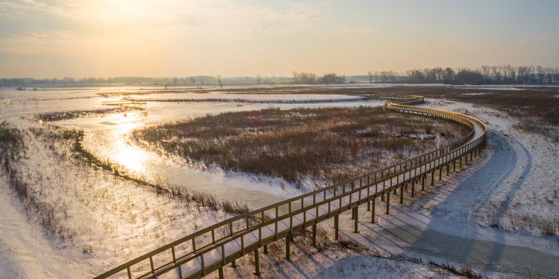 Howard Marsh Metropark, Curtice
