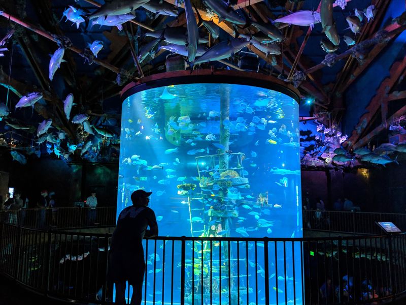 Immersive Rooms Turn Walking Into Exploring Immersive Rooms Turn Walking Into Exploring