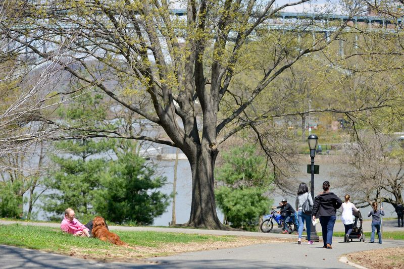 Inwood Hill Park (New York)