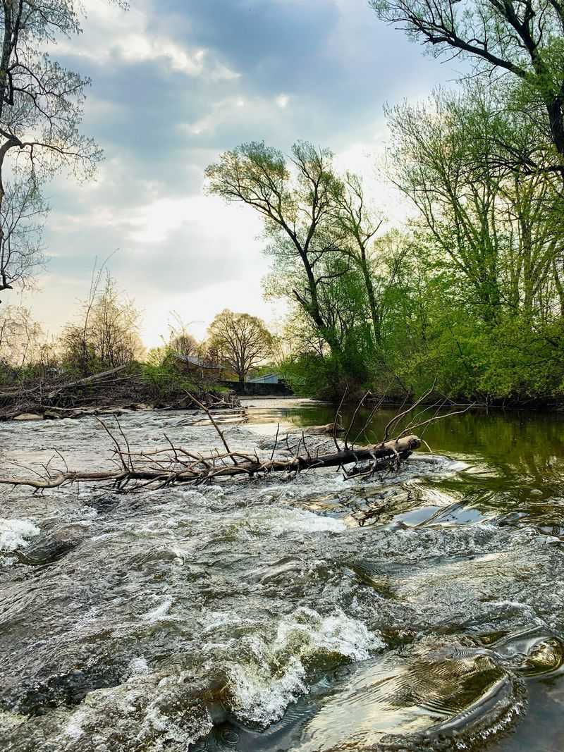 Island Park Brings the Green Side of Town