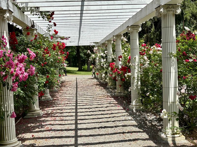 Italian Renaissance Style Gives the Grounds Old World Grace