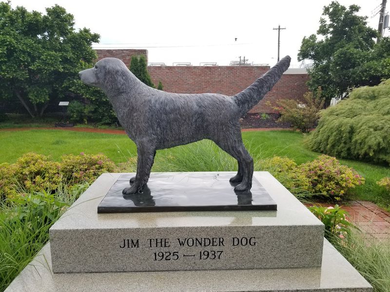 Jim The Wonder Dog Museum, Marshall Jim The Wonder Dog Museum, Marshall