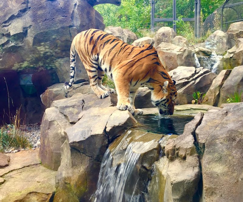 John Ball Zoo