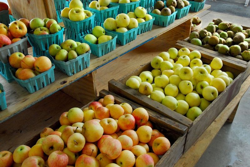 Jones Orchard, Millington Jones Orchard, Millington