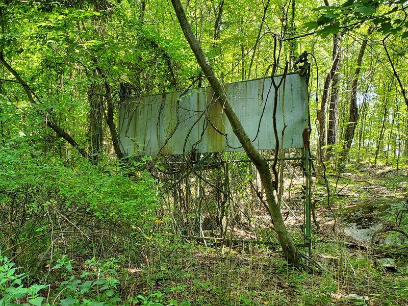 Jungle Habitat