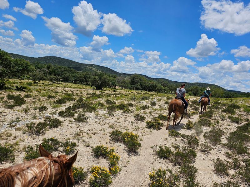 Just Fifteen Minutes From Bandera's Cowboy Capital Charm Just Fifteen Minutes From Bandera's Cowboy Capital Charm