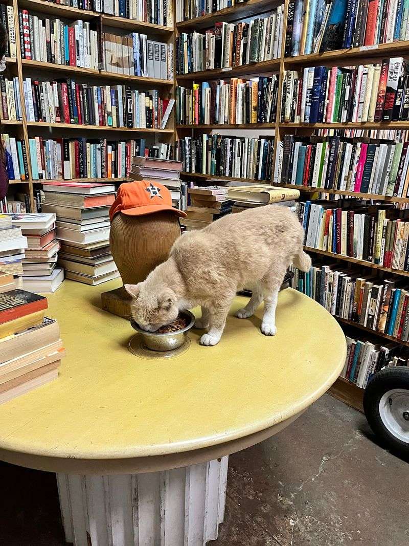 Kaboom Books (Houston) Kaboom Books (Houston)