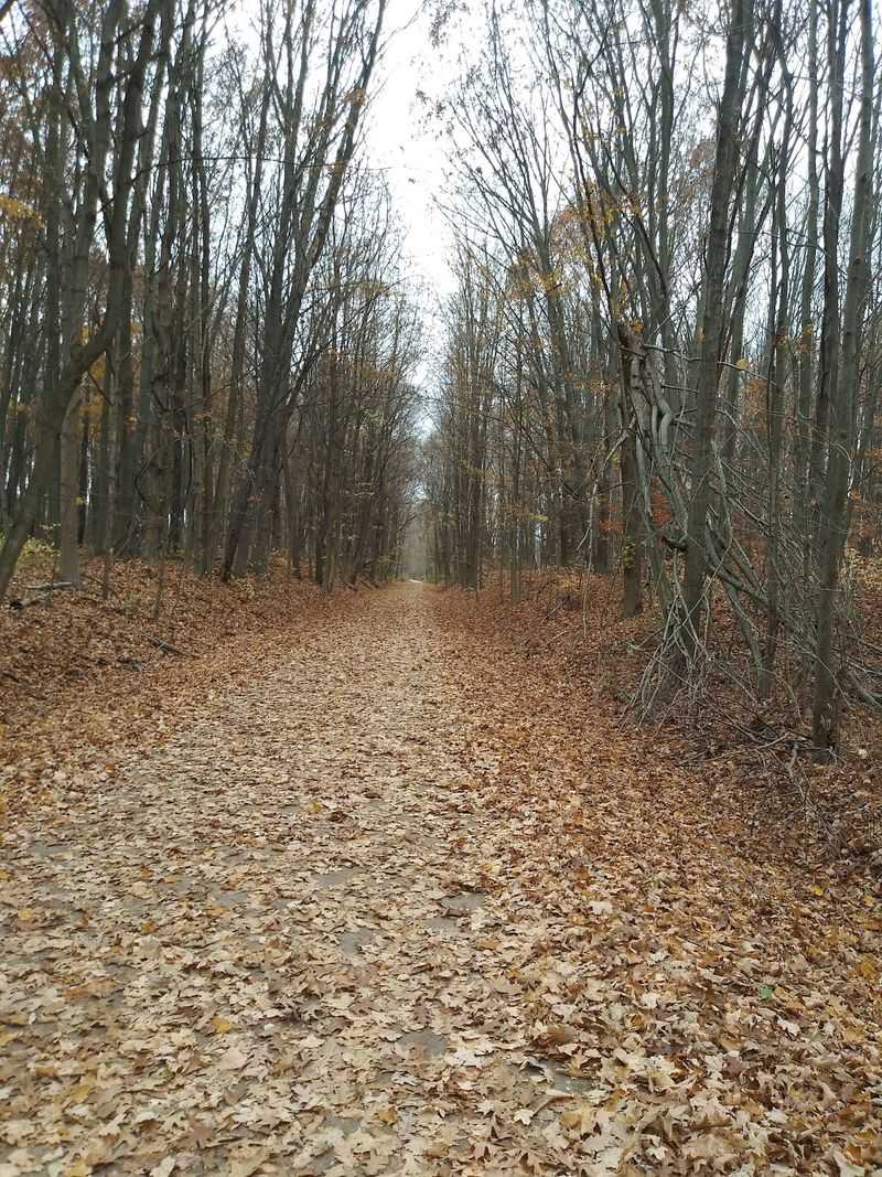 Kal-Haven Trail State Park Kal-Haven Trail State Park