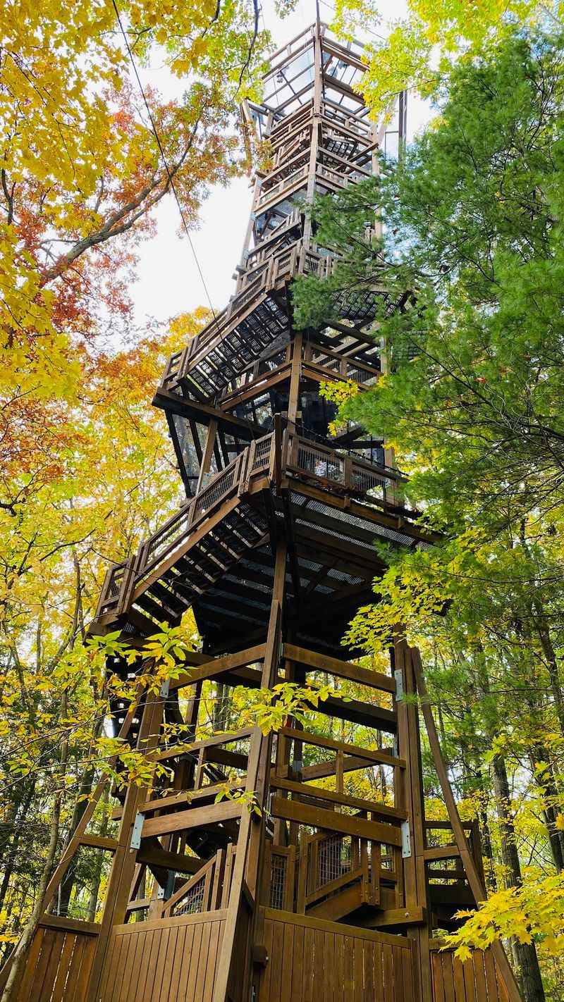 Kalberer Emergent Tower at The Holden Arboretum, Kirtland